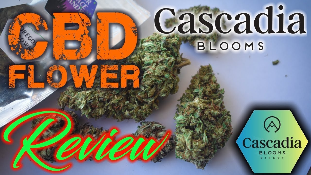 |Cascadia Blooms| CBD Hemp Flower Review [Special Sauce, SSC]