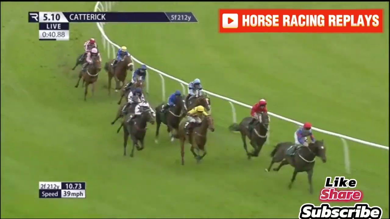 One Of Our Own / 6 Race Catterick 24 Jul 2024
