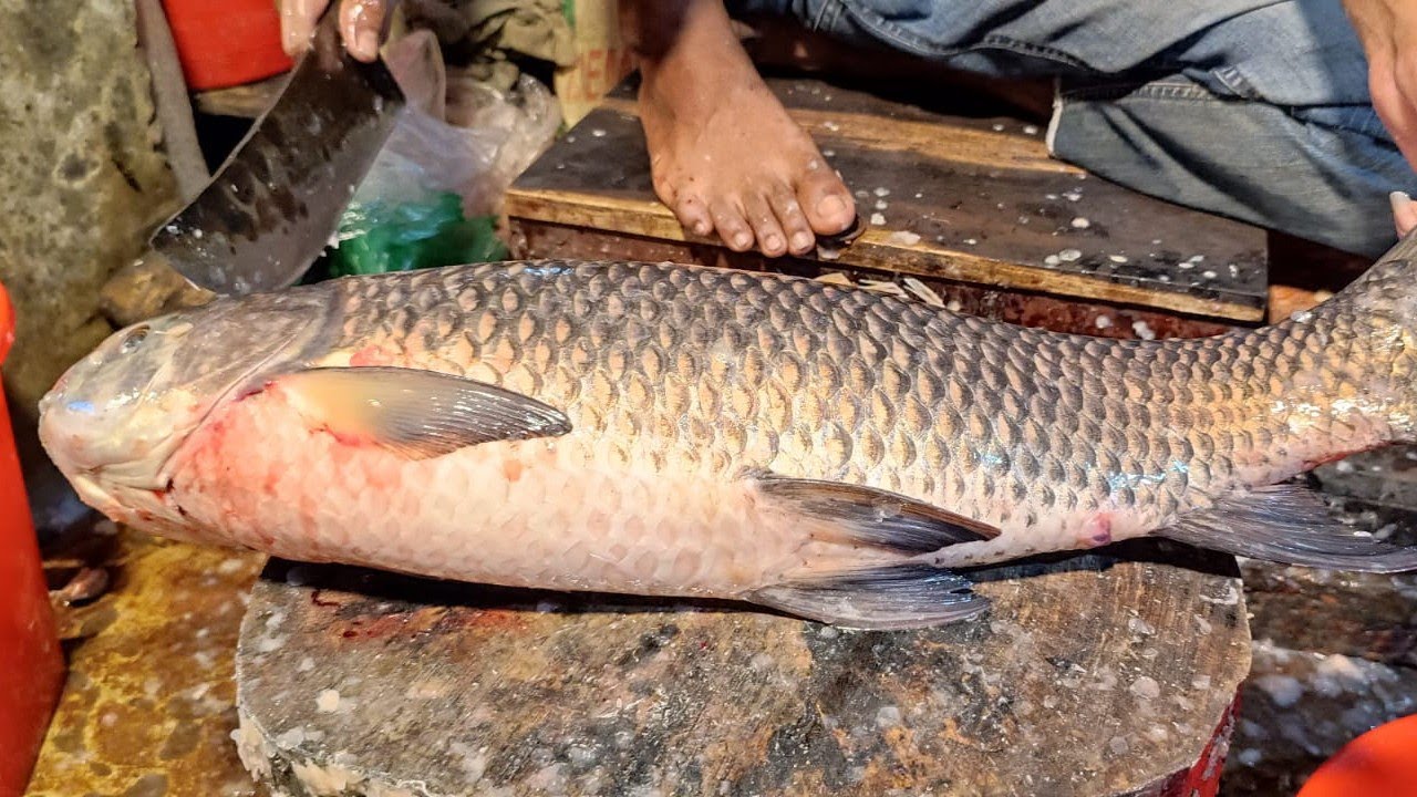 UNBELIEVABLE! 🔥 Fastest Fish Cutting Skills on Earth!