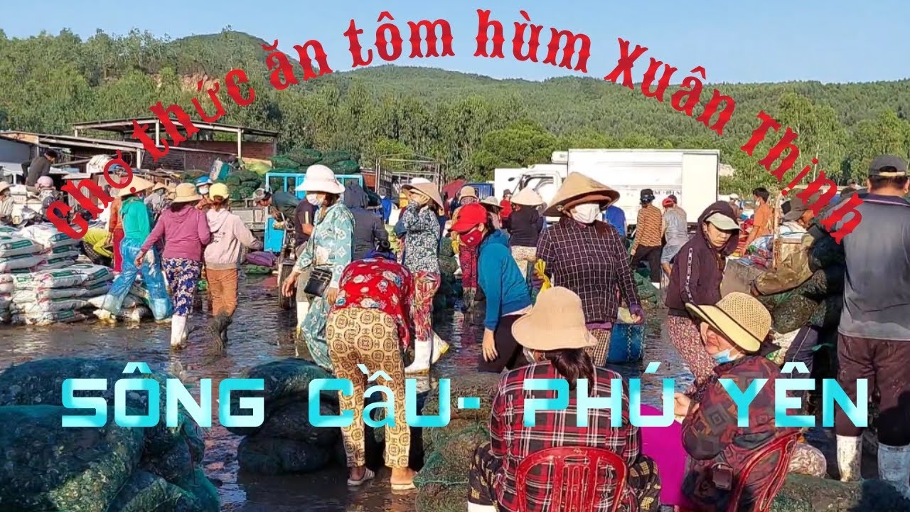 Chợ Xuân Thịnh - Sông Cầu- Phú Yên nhộn nhịp mua bán thức ăn tôm hùm