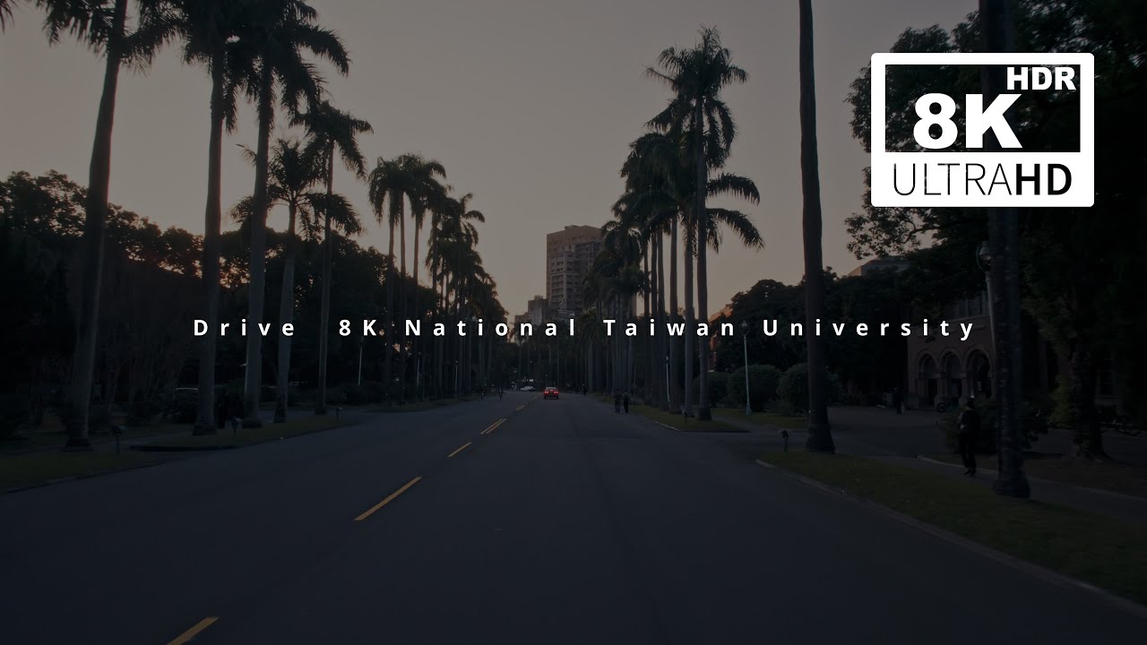 Drive in Taipei – NTU Campus, Xinyi Rd & Taipei 101 | 8K HDR City Ride 台灣大學校園-信義路-台北101-基隆路