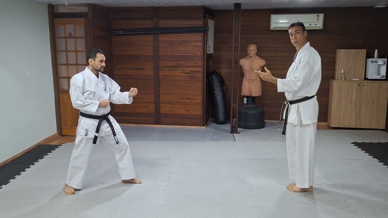 Usando os katas no kumite #1