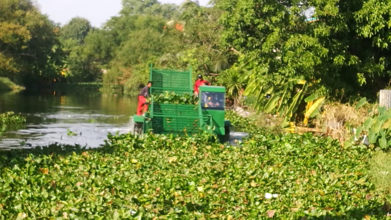 เรือกำจัดผักตบชวา บริษัท คิงสุวรรณวัฒนา จำกัด