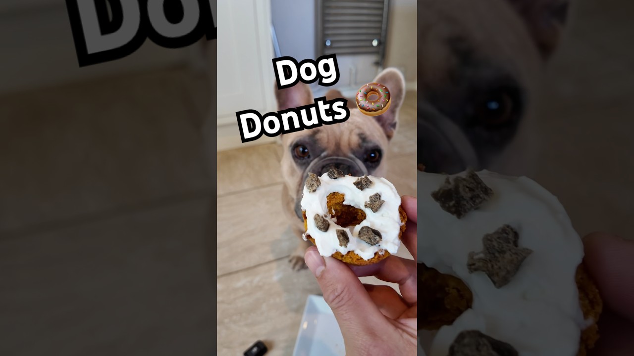 Рецепт пончиков для собак 🍩 #собачийрецепт #собачьелакомство #собаки
