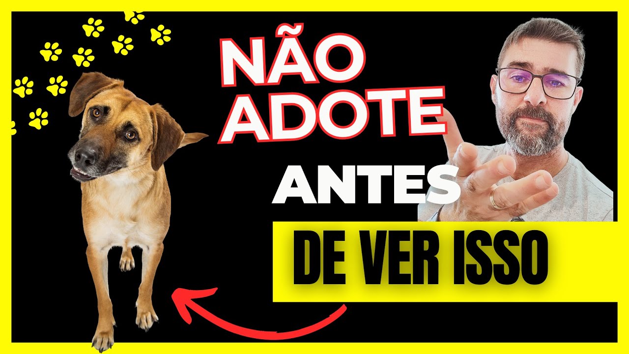 EU ADOTEI UM CACHORRO ADULTO E OLHA O QUE ME ACONTECEU