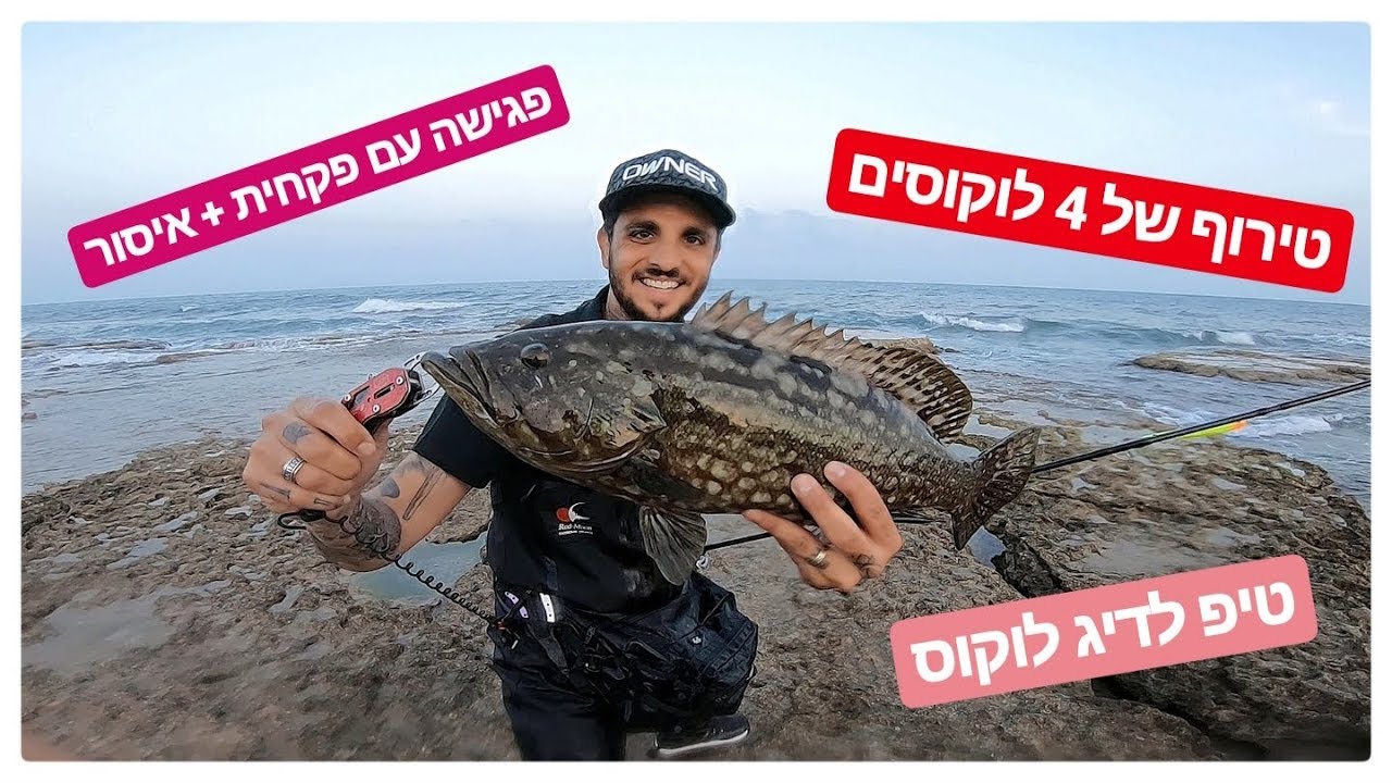 טירוף של דיג - הרביעי פתח את הטבעת | Grouper open the ring Jumprize ALL WAKE 99 MONSTER BATTLE