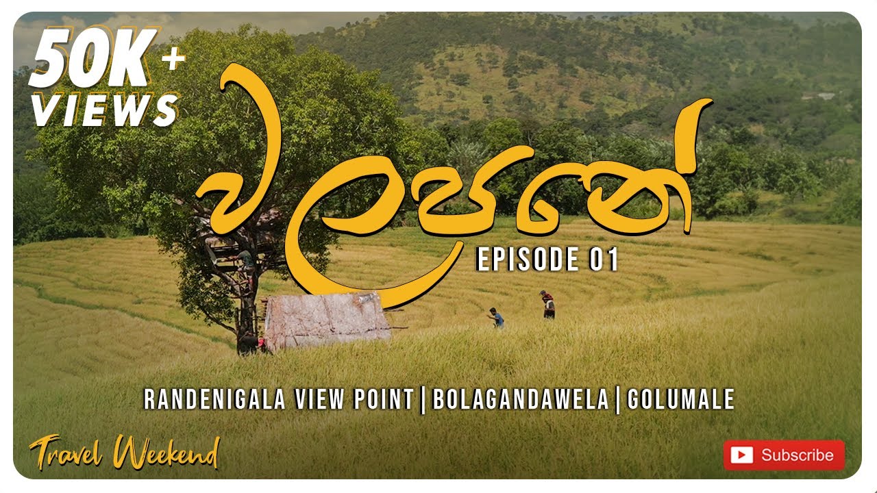 නුවරඑලිය යනගමන් වලපනෙත් එන්න | Golumale  | Things to do in Walapane   #nuwaraeliya #centralprovince