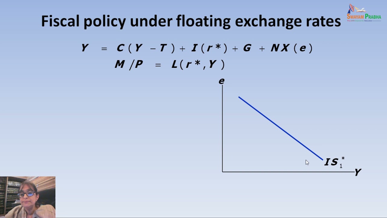 The Mundell Fleming model