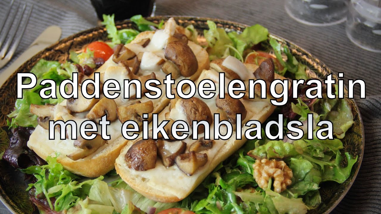 Paddenstoelengratin met eikenbladsla recept