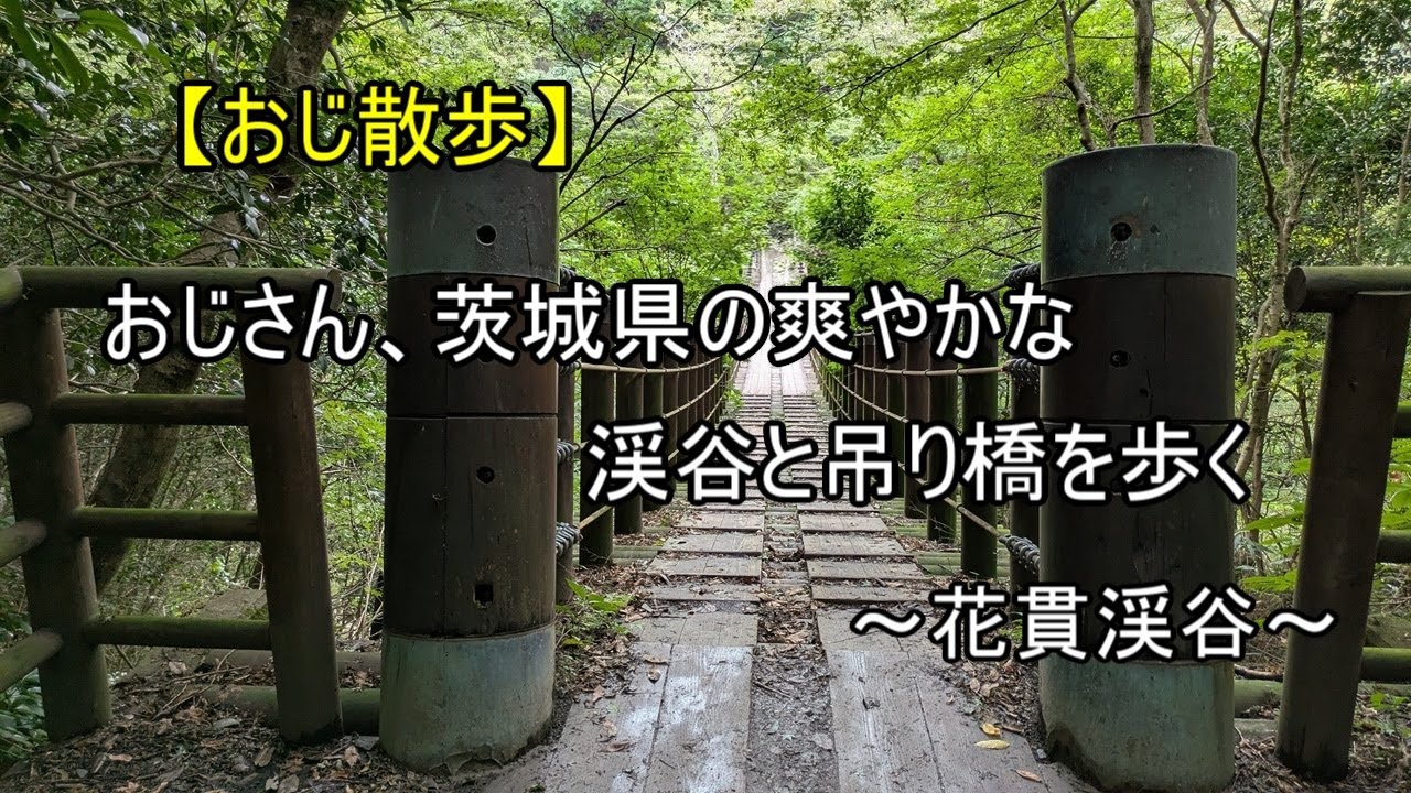 【おじ散歩　＃１１５】　おじさん、茨城県の爽やかな渓谷と吊り橋を歩く　～花貫渓谷～