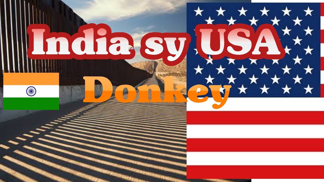 India to USA Donkey Route || USA Border Crossing