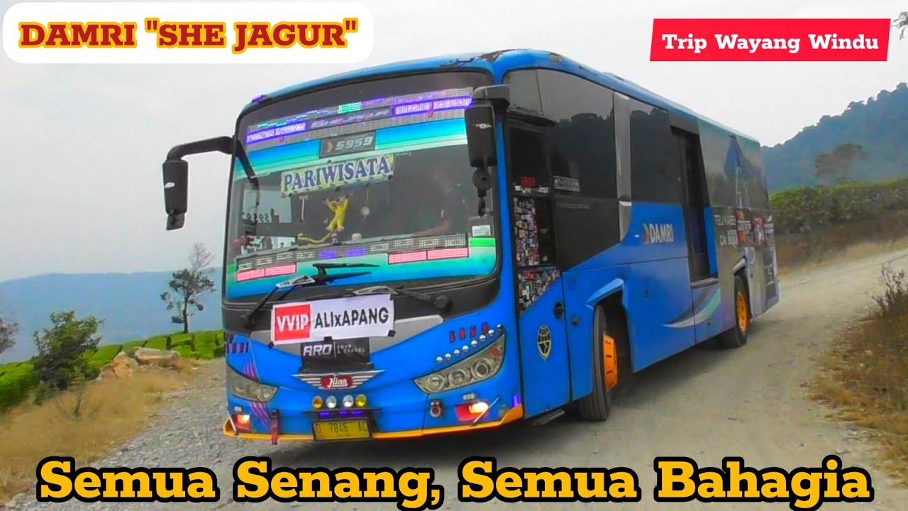 JAJAL OYOD BUS ARTIS TELOLET 