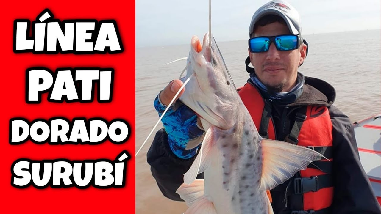 Linea para Pati Dorado y Surubi de Fondo