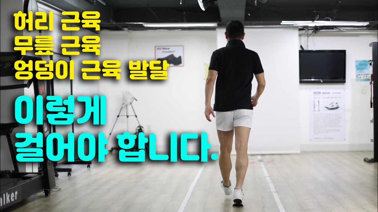 허리 근육 발달 무릎 관절 보호 구관절 엉덩이 대둔근 발달 이렇게 걸어야 합니다. #무릎통증 #걷기운동 #자세교정