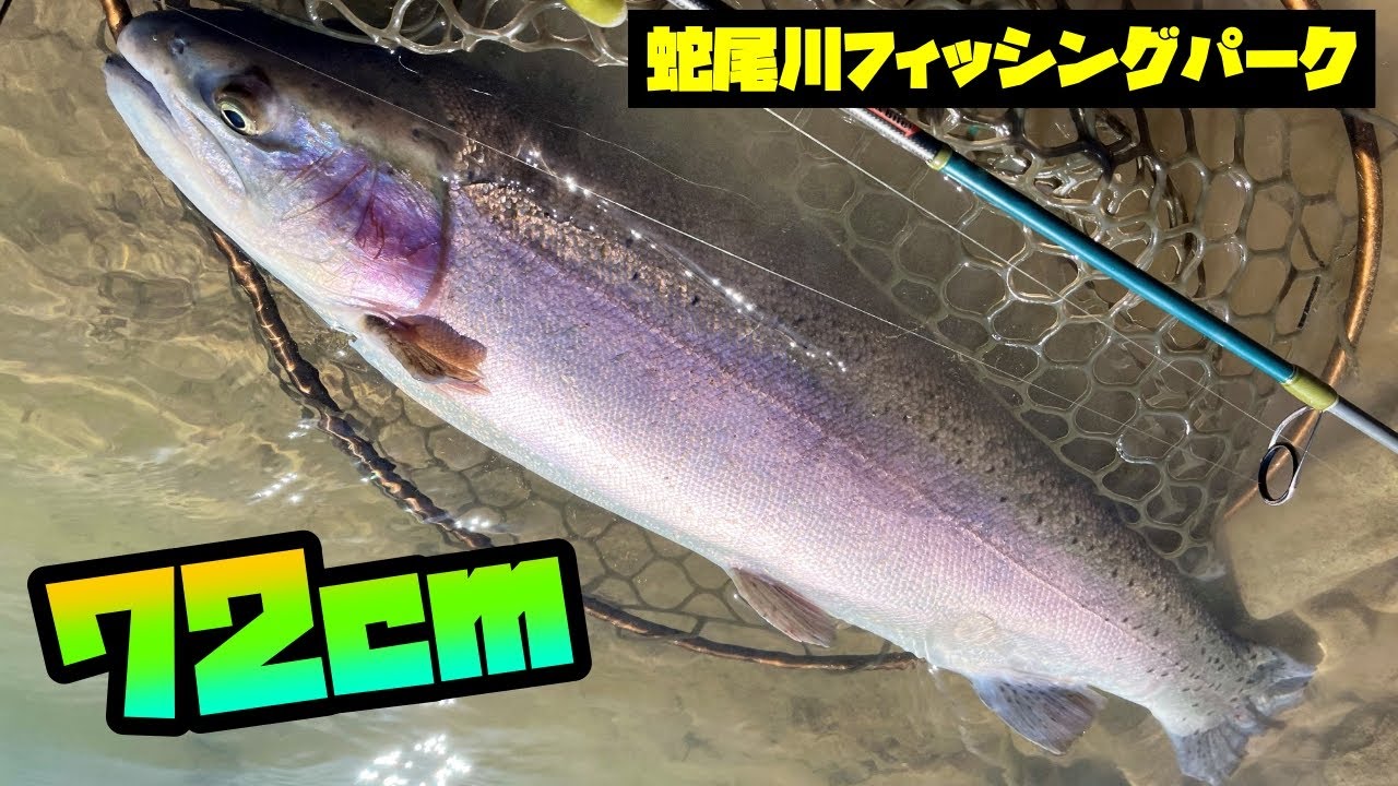 Steelhead Fishing the Clear pond!