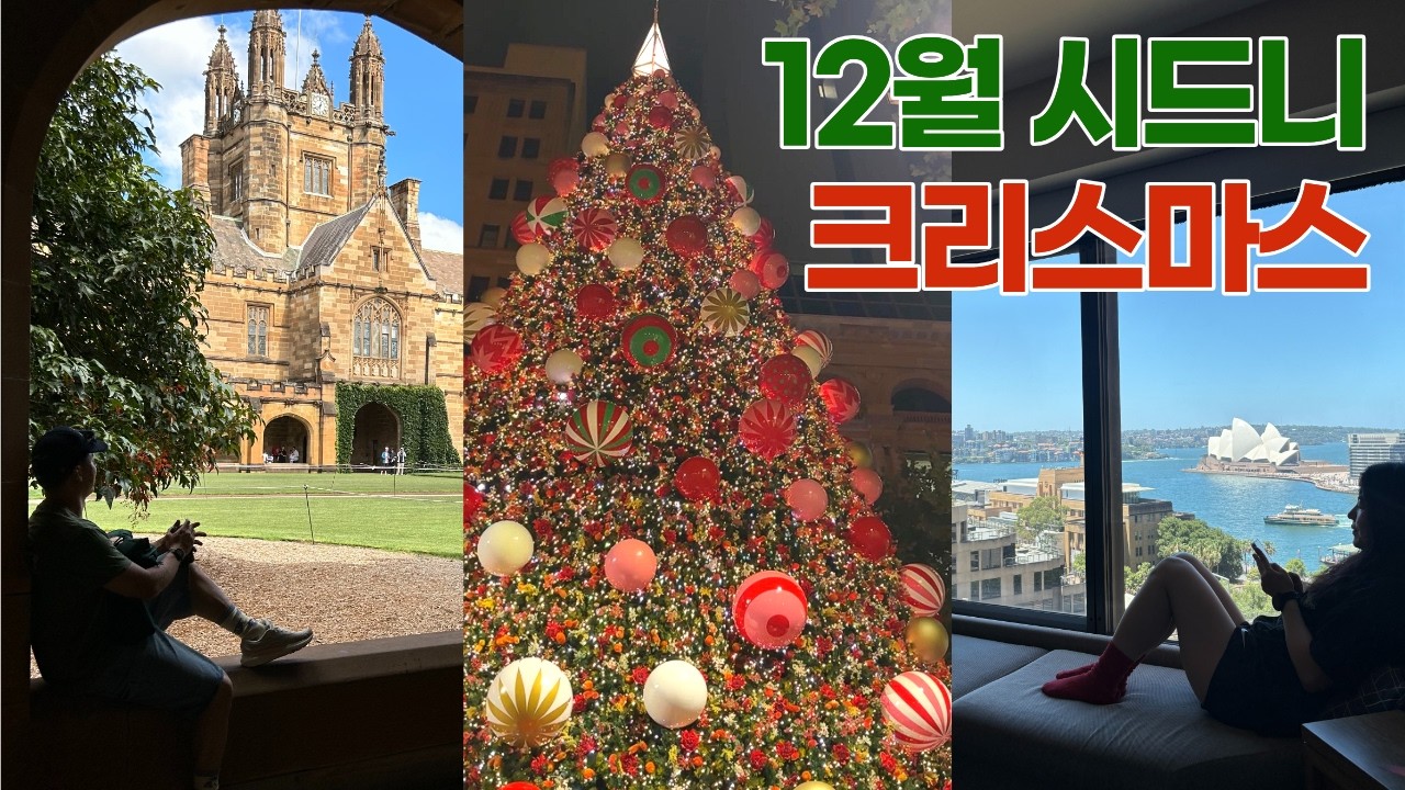 [🇦🇺시드니 브이로그] 크리스마스 in Sydney (뉴타운, 시드니대학교, 포시즌스호텔, 에르메스 쇼핑, 노스시드니 메리톤호텔, Bar Totti's, 보태닉 가든)