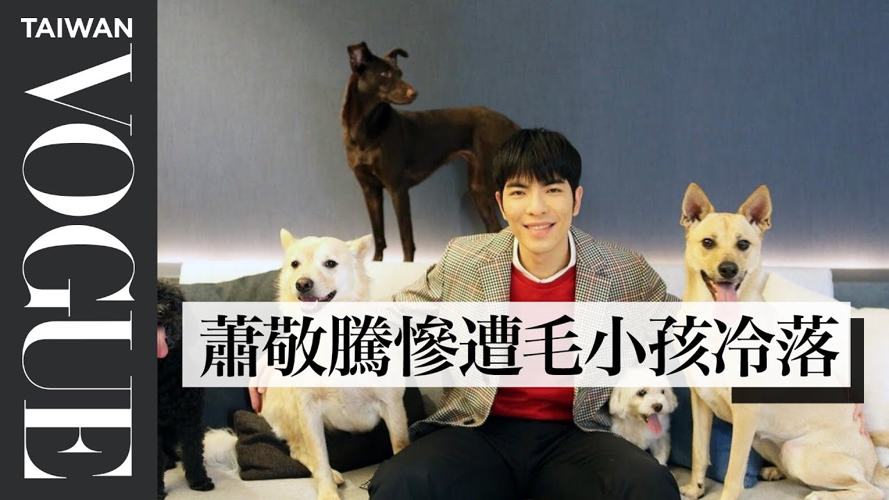 獨家直擊！歡迎來到老蕭動物園，領養超多可愛毛小孩｜VOGUE Taiwan
