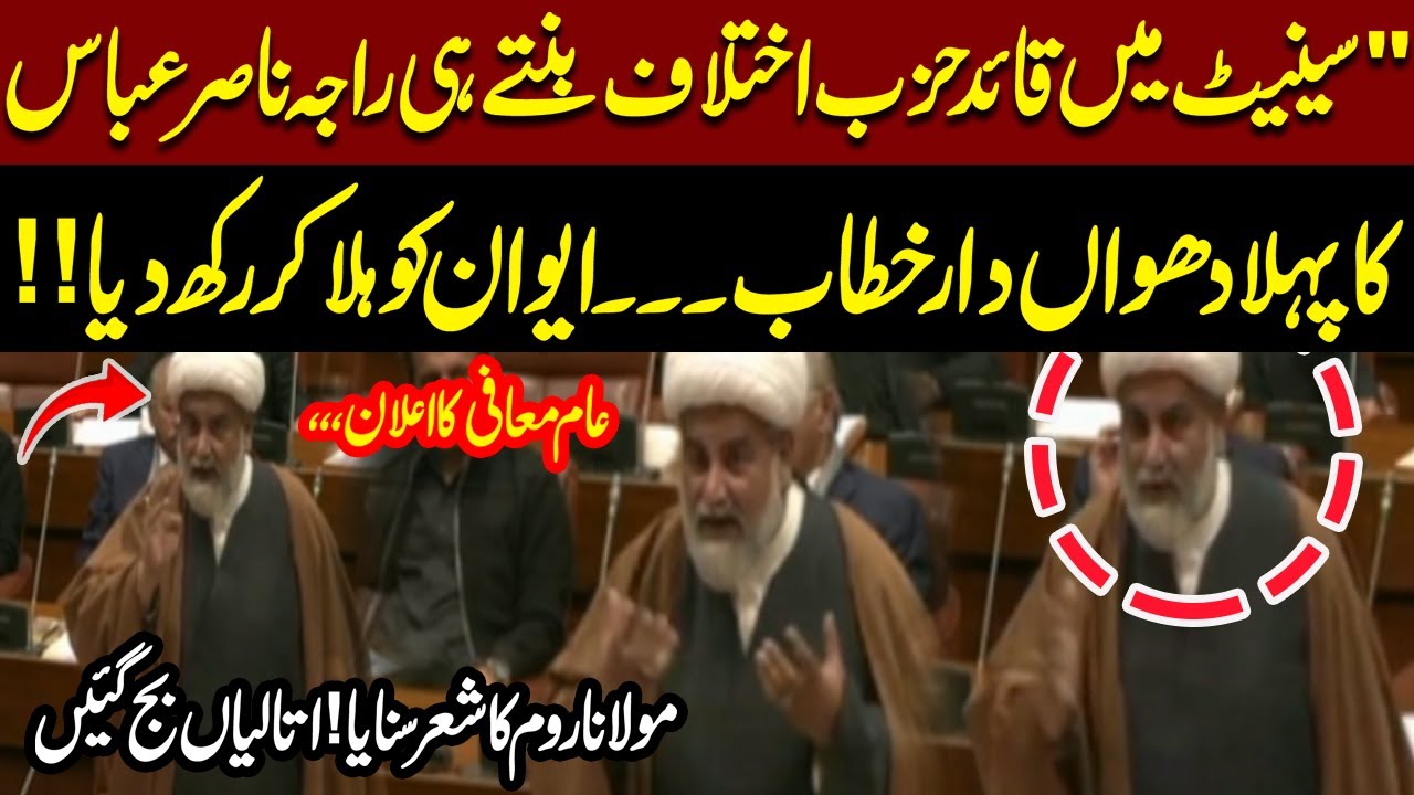 First Official Speech of Senate Opposition Leader Raja Nasir Abbas || Pakistan News