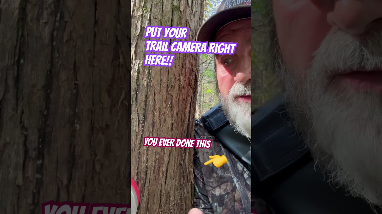 Trail camera tip