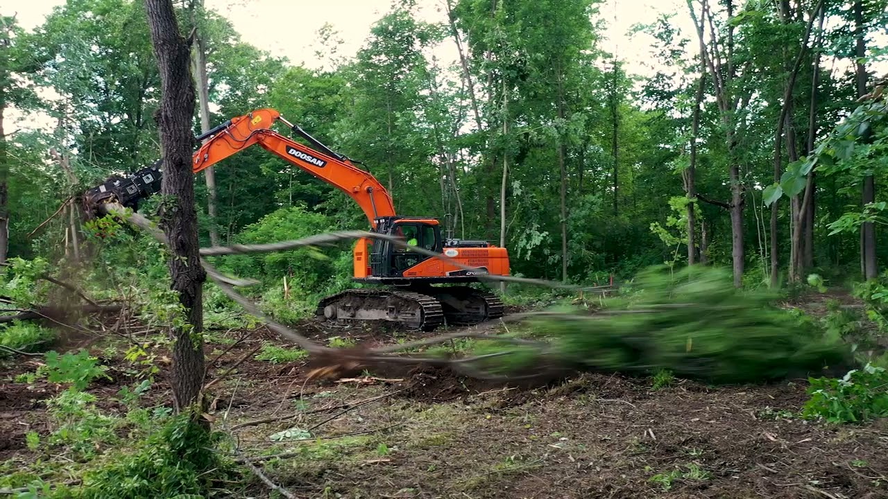 Doosan 225LL-5 Rotobec Grapple Saw In Action