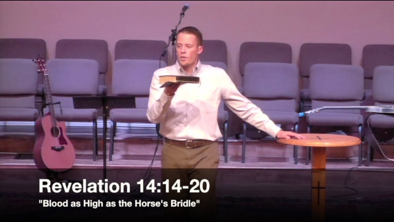 "Blood as High as the Horse's Bridle" - Revelation 