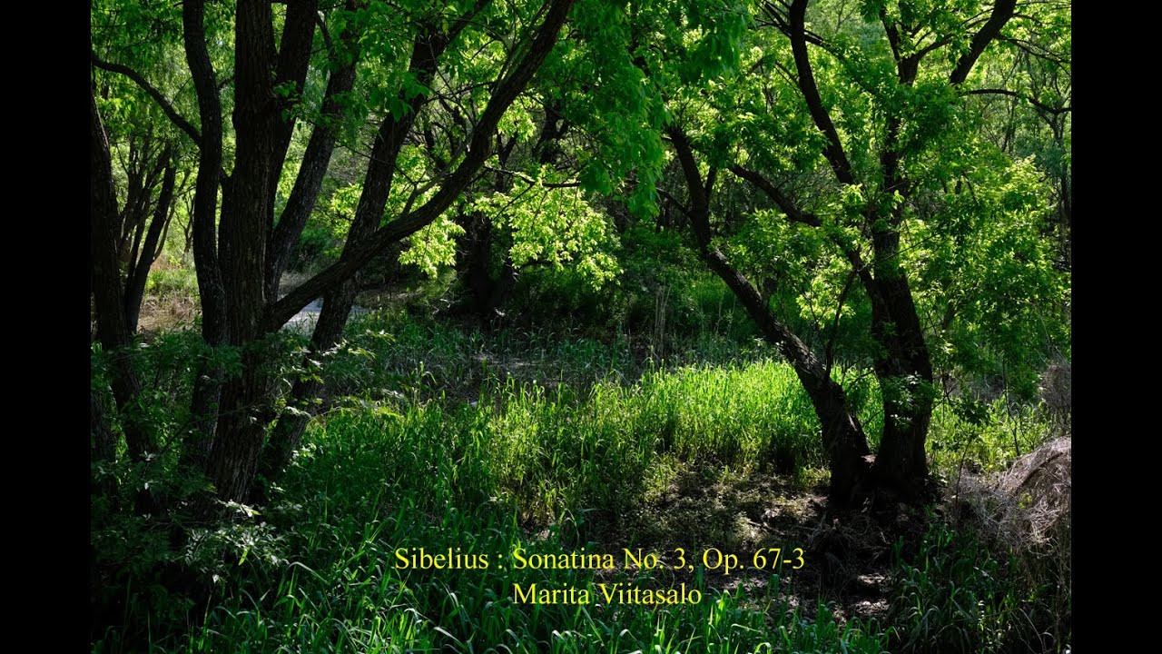 Sibelius : Sonatina No. 3