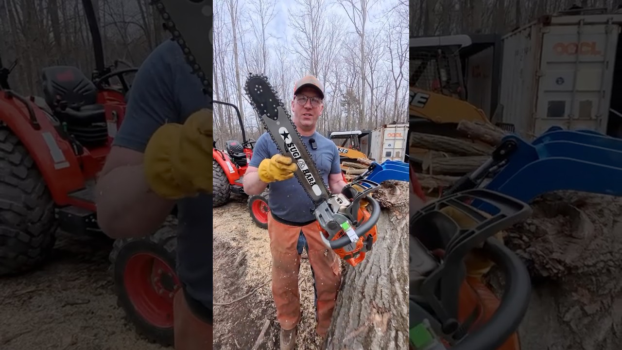 564XP любит ненасытную цепь! Пилит большие дубы! Пила Husqvarna!