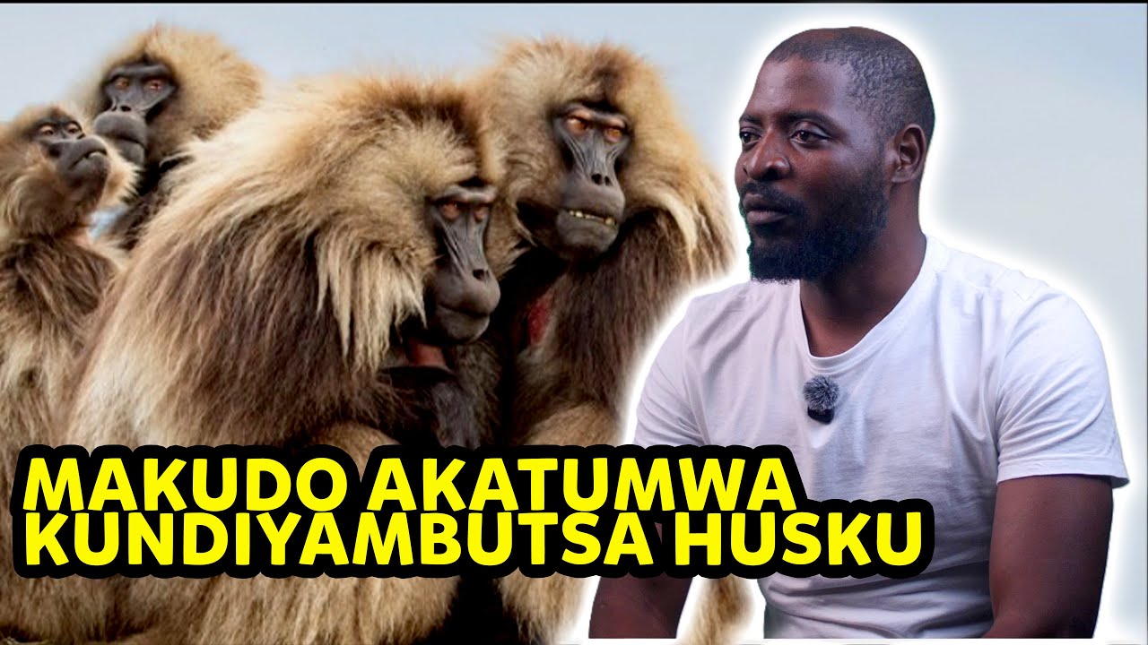 NDAKAYAMBUTSWA BORDER  NEMAKUDO HUSIKU || ACROSS THE BORDER S02 EP 08 || ZIM STORIES