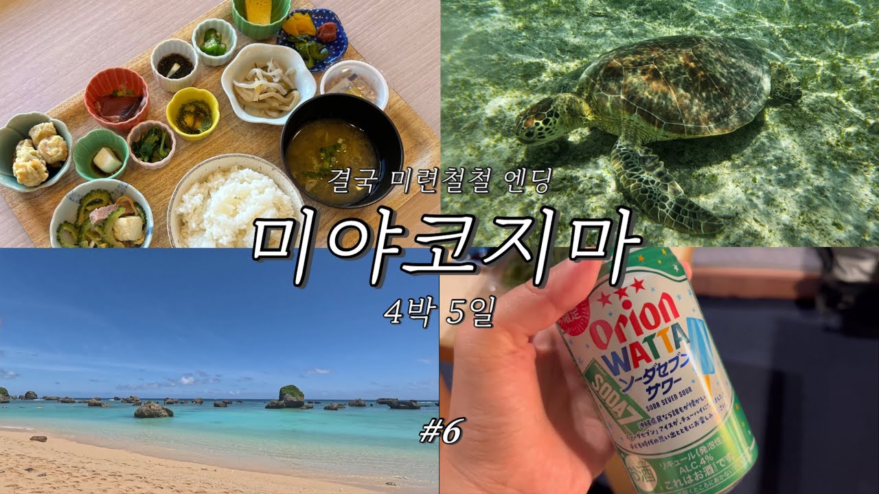 식당예약을 꼭 해야하는이유(feat.박쥐🦇)_ 미야코지마 여행🐠 #6 | 히가시헨나비치 | 닝긴커피 | 얏빠리스테이크 | 라이징선호텔 | 바다포도 | 시모지시마 면세점