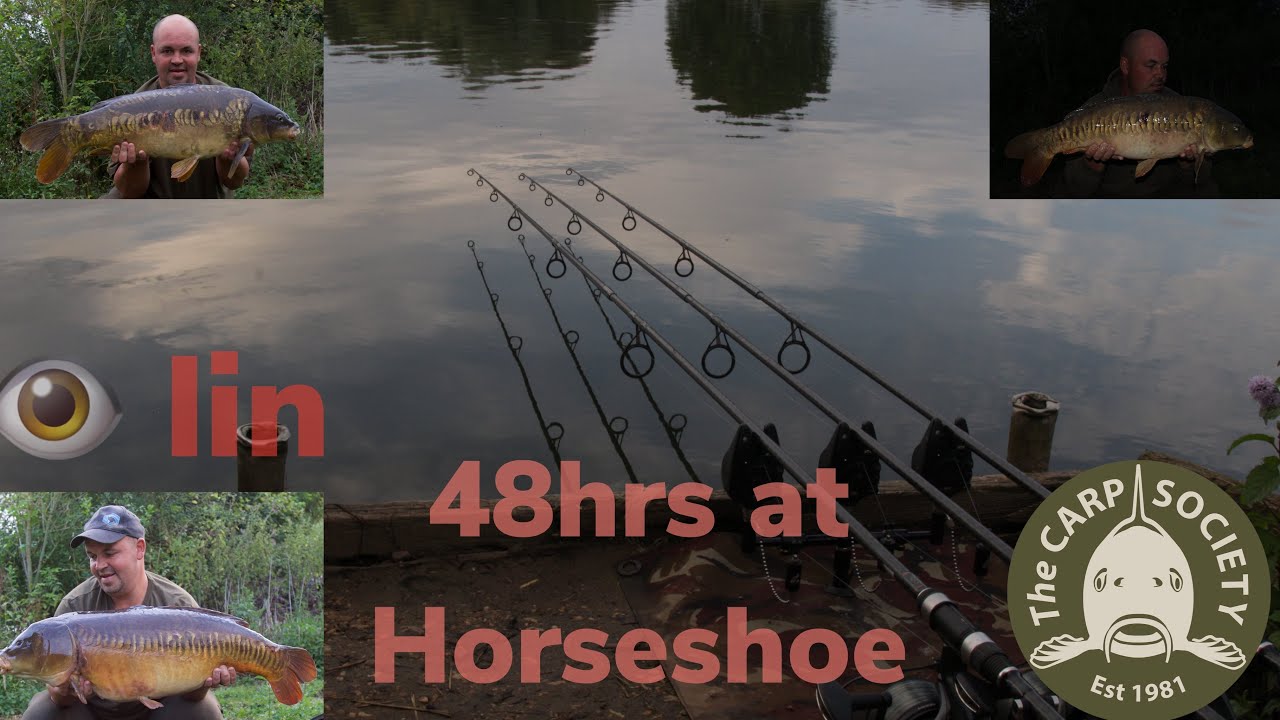 ***CARP FISHING*** carp Society’s horseshoe lake, the one eye’d lin made an appearance