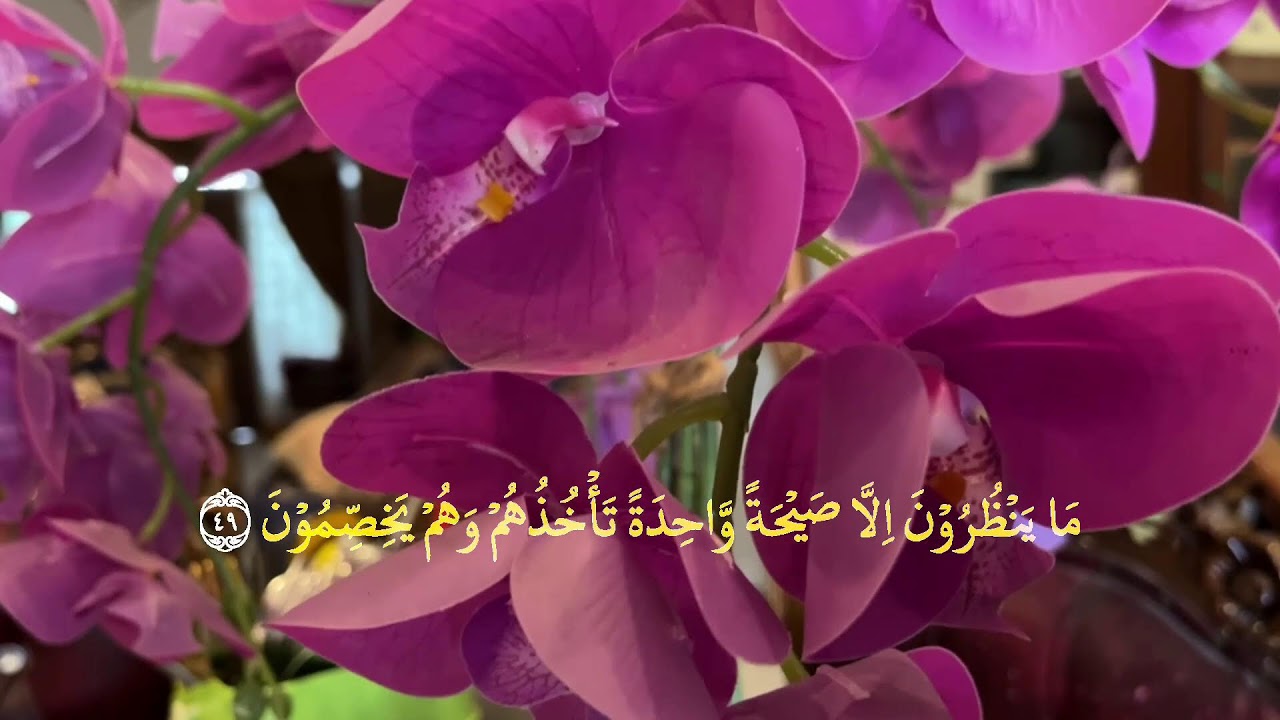 👉 Yosin surasi to‘liq 83 oyat | Yurakni tinchlantiruvchi go‘zal qiroat