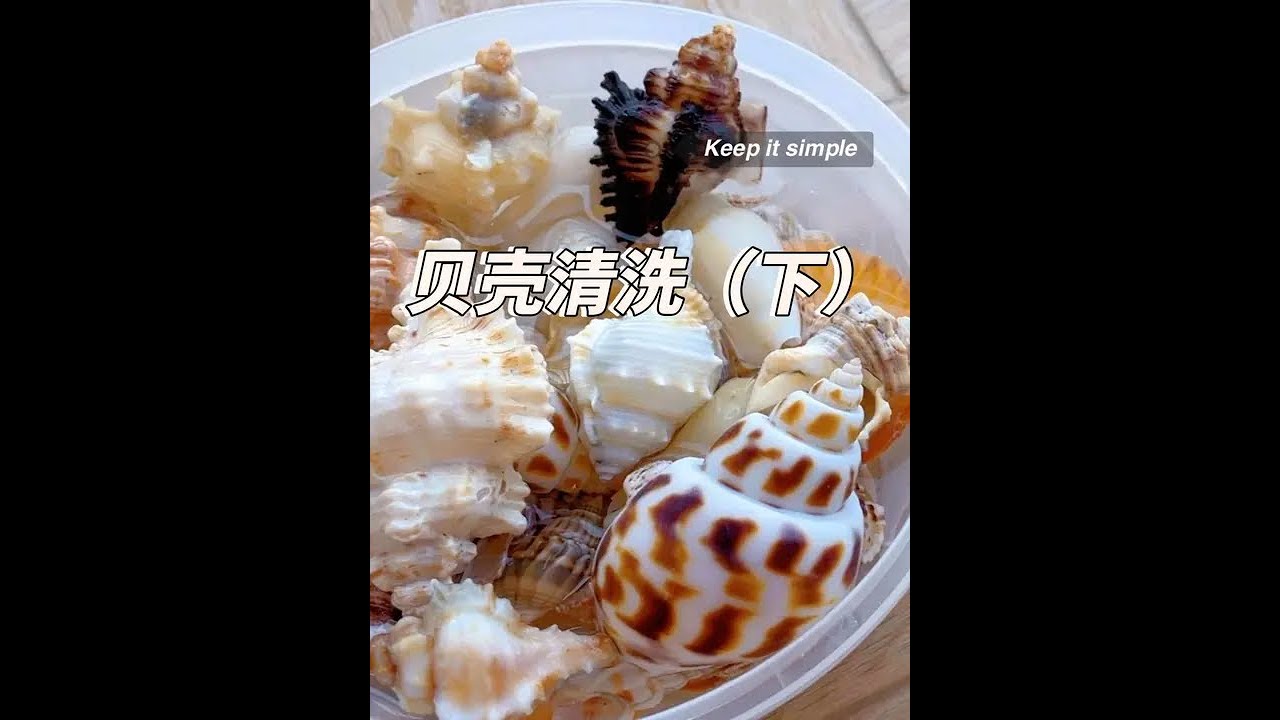 贝壳清洗（下）大年初一给您拜年啦，i人不知道干啥的话赶紧低头看视频🤣祝大家暴富暴美🫰🏻#给大家拜年啦 #新年快乐 #治愈 #解压 #贝壳