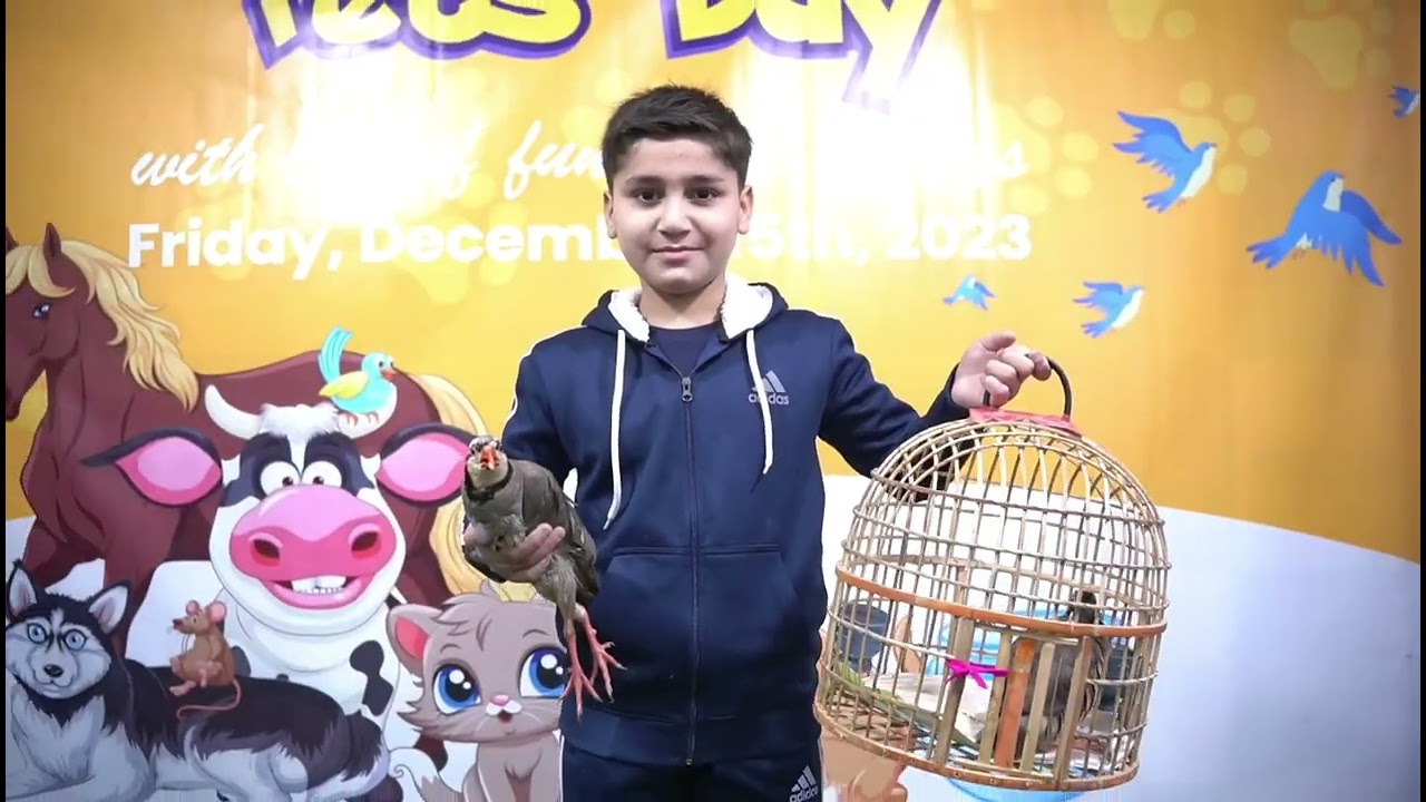 #petday #progressive #pakistan Progressive model school