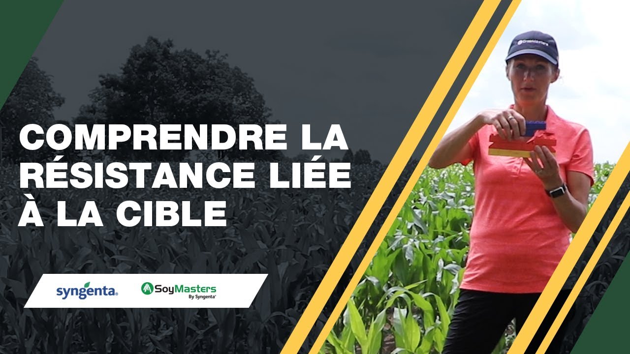 Résistance aux herbicides, partie 1 : Comprendre la résistance liée à la cible