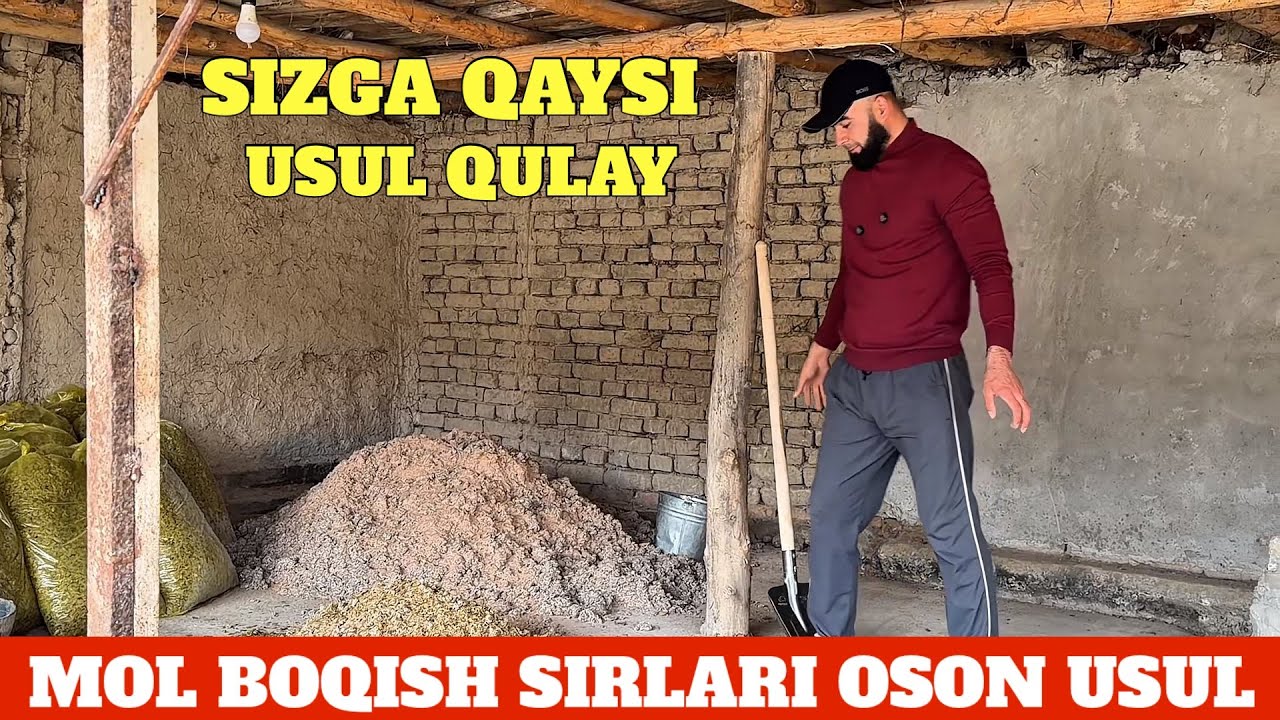 MOL BOQISH SIRLARI SIZNINGCHA QAYSI USUL QULAY 2026 XAYIT MUBORAK