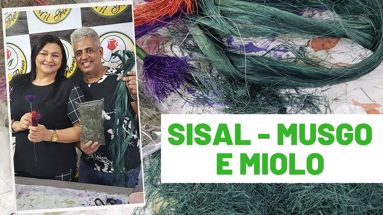 FAÇA VOCÊ MESMO: TRANSFORME O SISAL EM MUSGO E MIOLO.