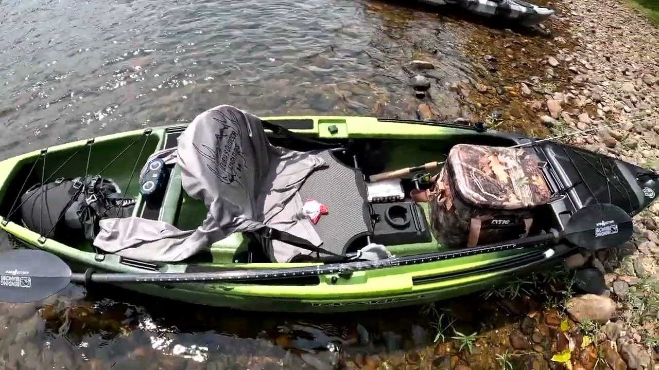 Native Ultimate FX12