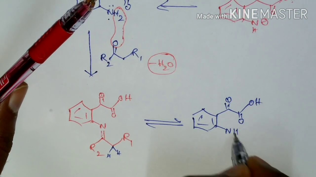 Pfitzinger Reaction