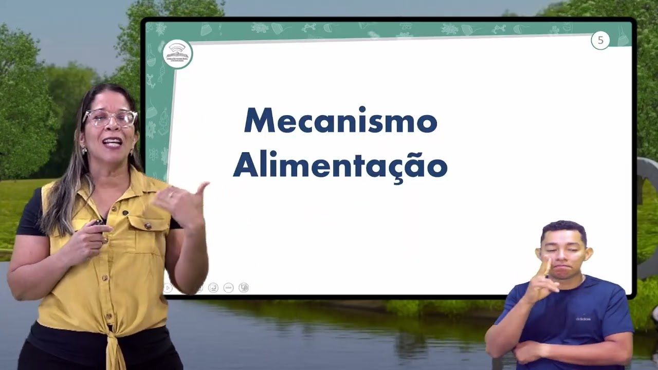 28.1 - ADAPTAÇÃO DOS SERES VIVOS II - BIOLOGIA - 3º ANO E.M - AULA 28.1/2026