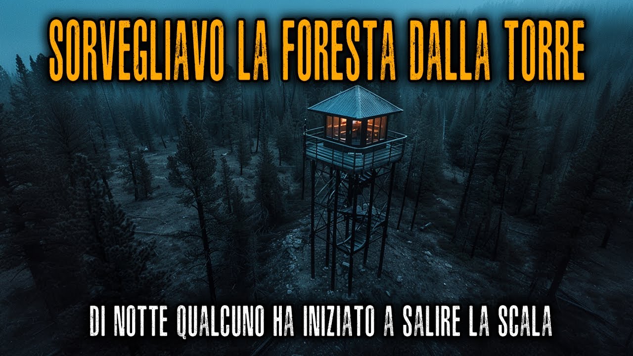 Lavoravo su una Torre di Guardia a Yellowstone &mdash; di Notte qualcuno ha iniziato a SALIRE