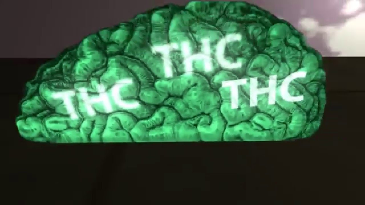 El aprendizaje y el uso del cannabis