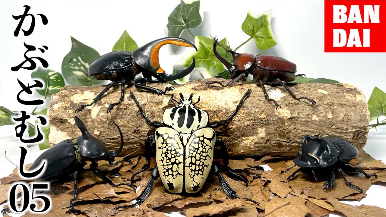 最新のカブトムシガチャが最高だ...!![BANDAI/いきもの大図鑑かぶとむし05]