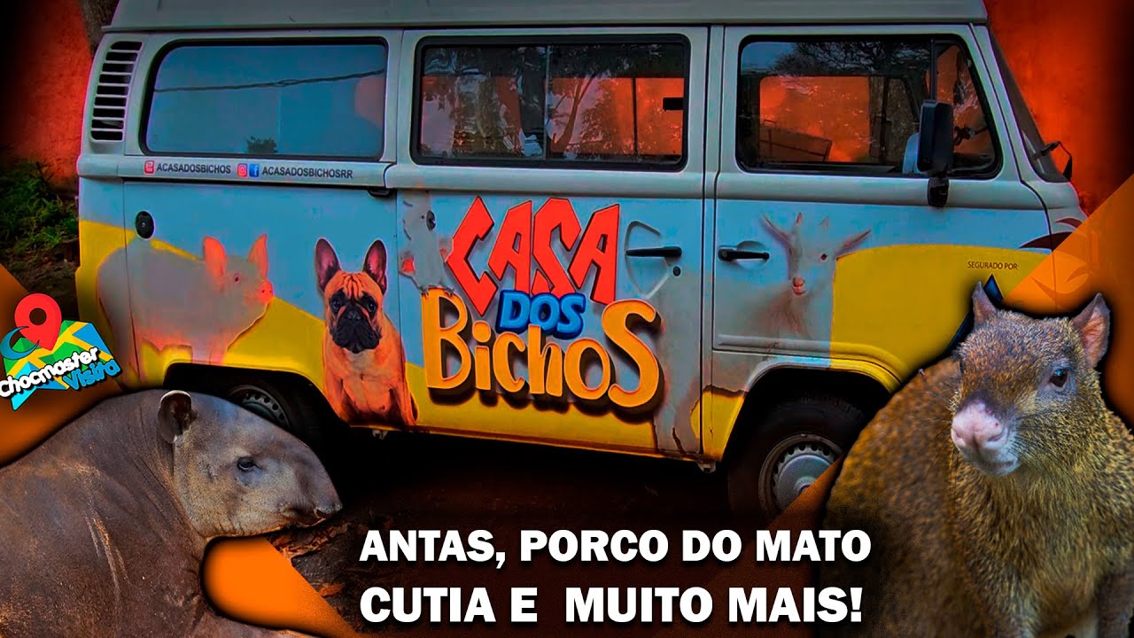 Um zoologico dentro de casa !!