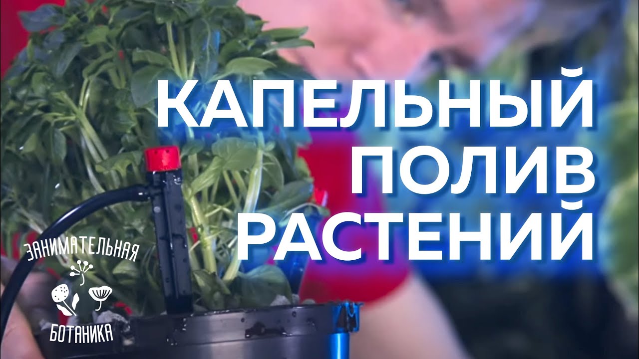 Капельный полив растений! А как поливать автоматически комнатные растения?! Разберёмся!