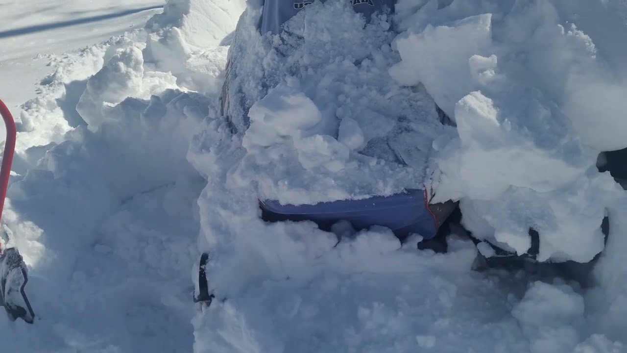Dig Out Day!