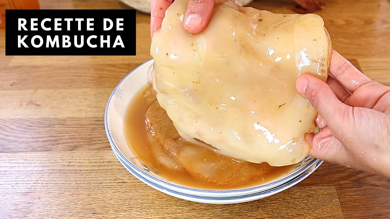 COMMENT FAIRE DE LA KOMBUCHA ? BOISSON MAISON