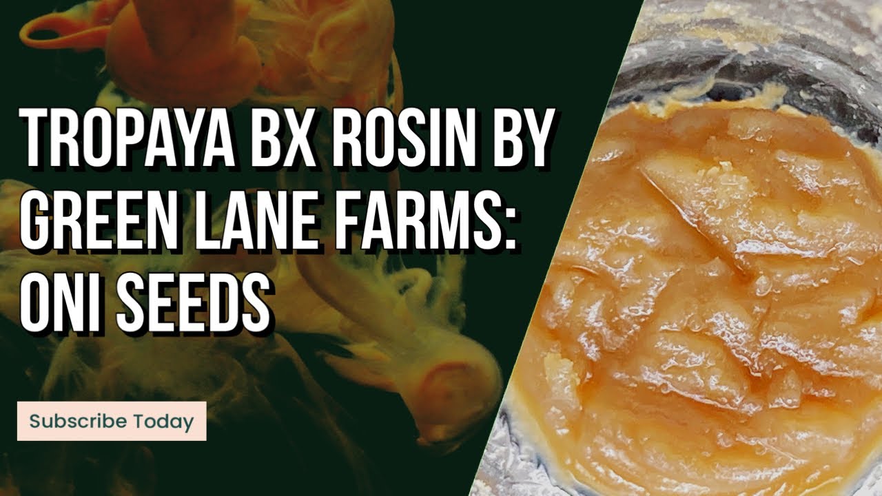 Tropaya BX Rosin by Green Lane Farms: Oni Seeds