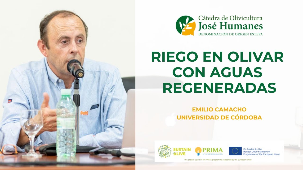 Conferencia 