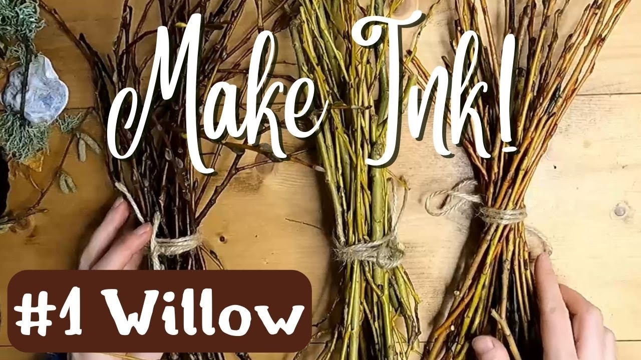 Botanical Ink Making - Simple, Easy Method for Willow Ink