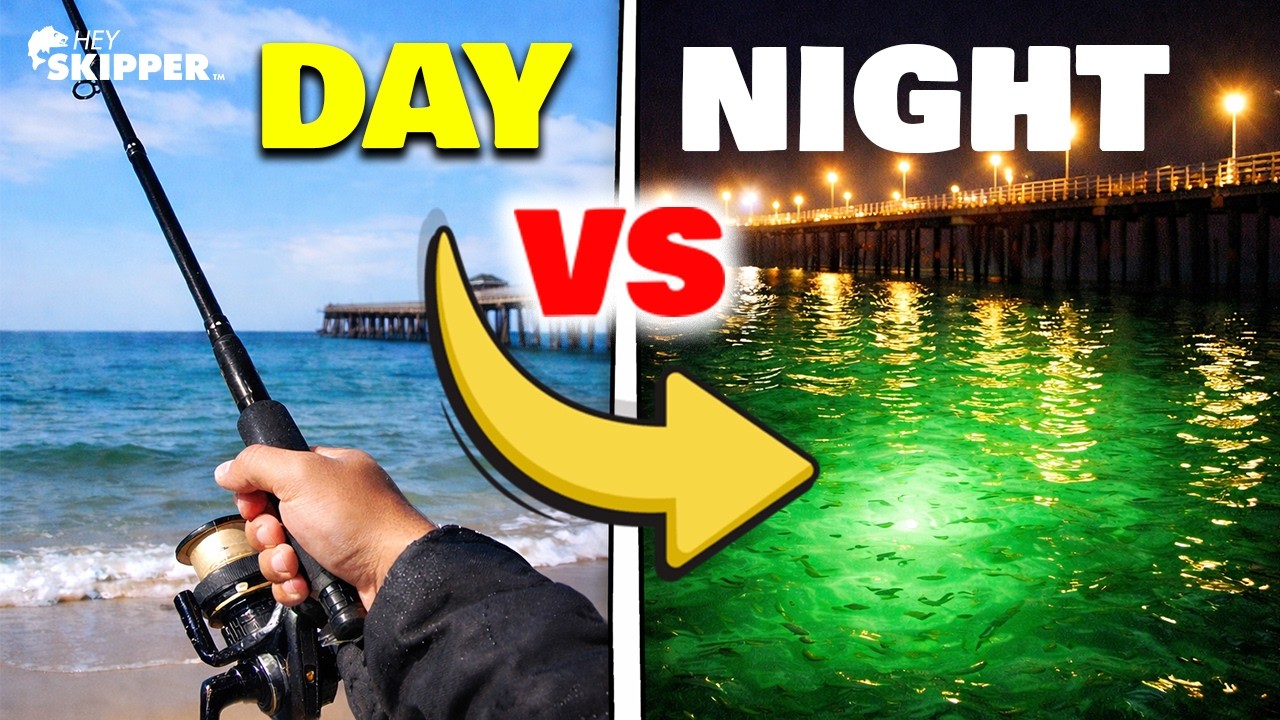 I Fished the SAME Spot Day vs Night (The Results Were Shocking)